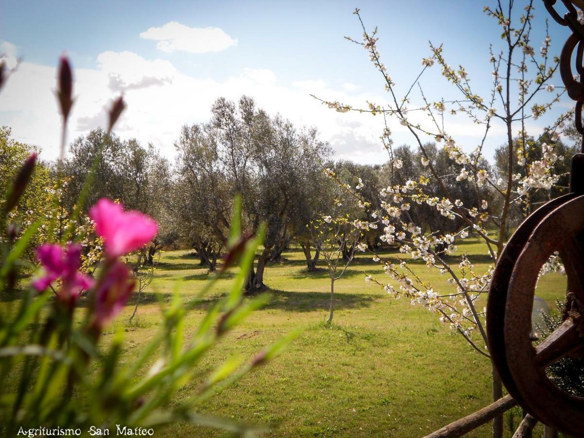 Вилла Agriturismo San Matteo Тарквиния Экстерьер фото