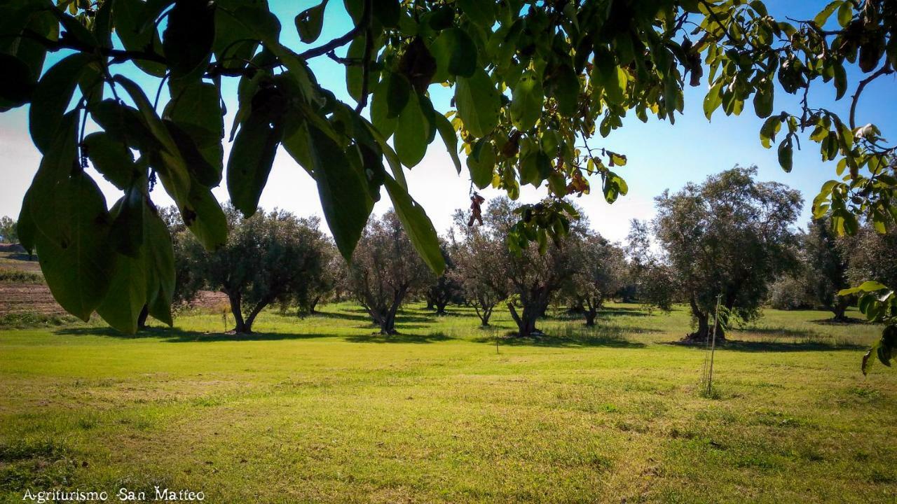 Вилла Agriturismo San Matteo Тарквиния Экстерьер фото