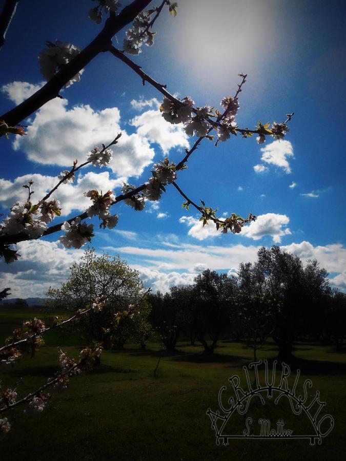 Вилла Agriturismo San Matteo Тарквиния Экстерьер фото